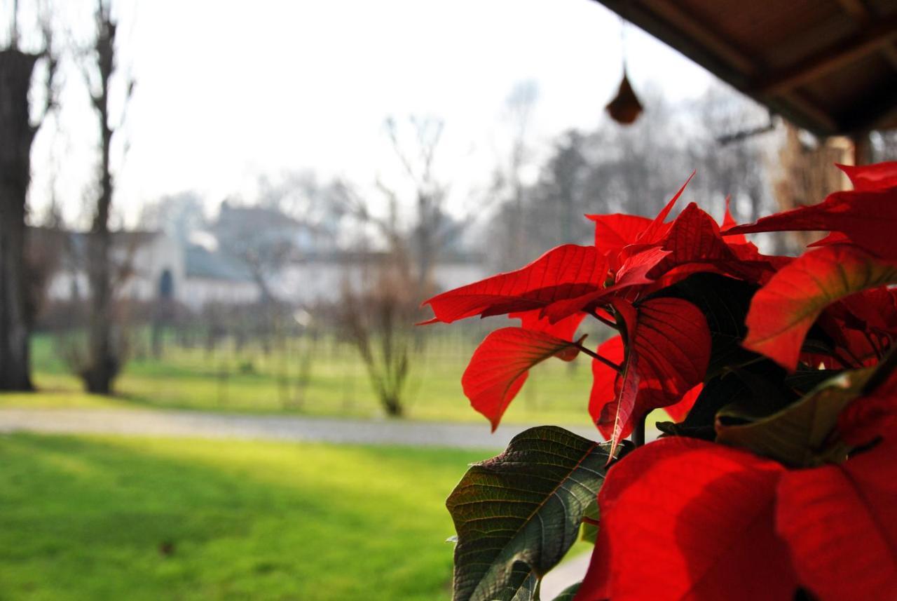 Villa Stefania Noventa Padovana Bagian luar foto